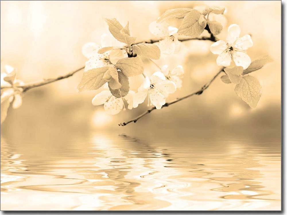 Fotofolie für Fenster mit Frühlingsblüten in sepia