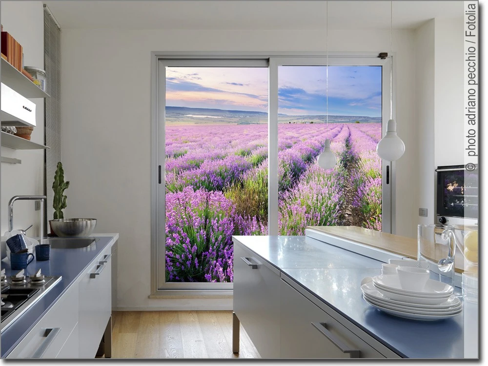 Klebefolie für Fenster Lavendel
