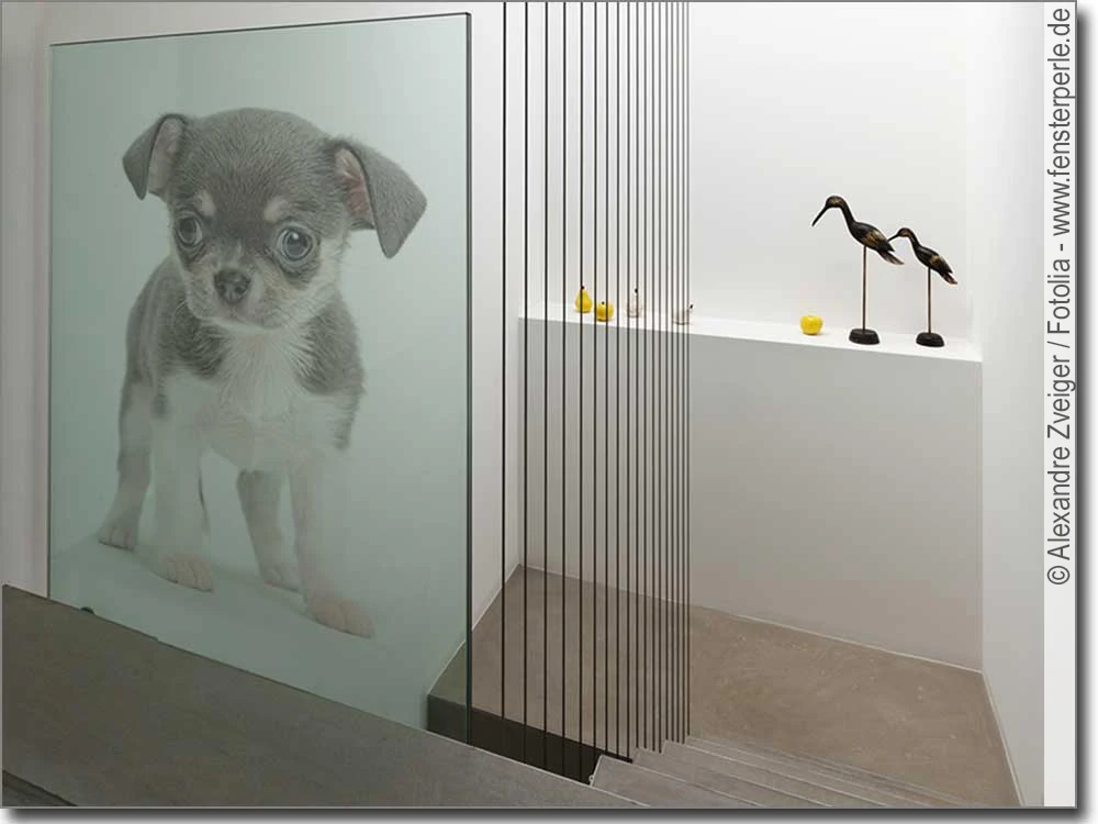 Transparente Fotofolie für Glas Chihuahua Baby