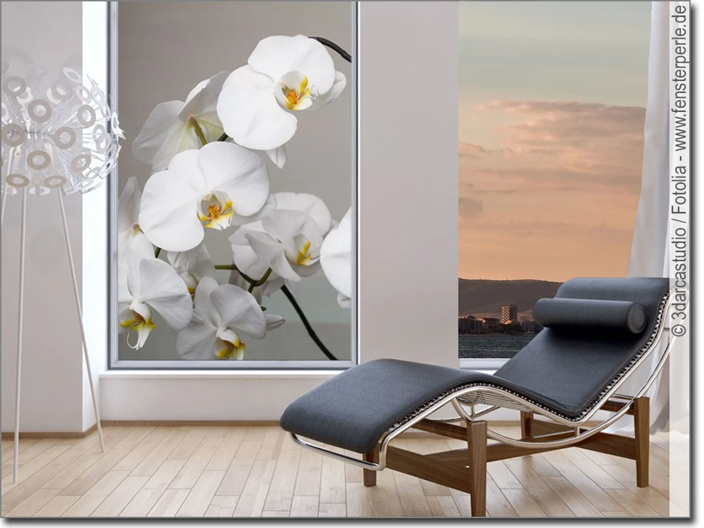 Fensterbild zum Aufkleben weiße Orchidee