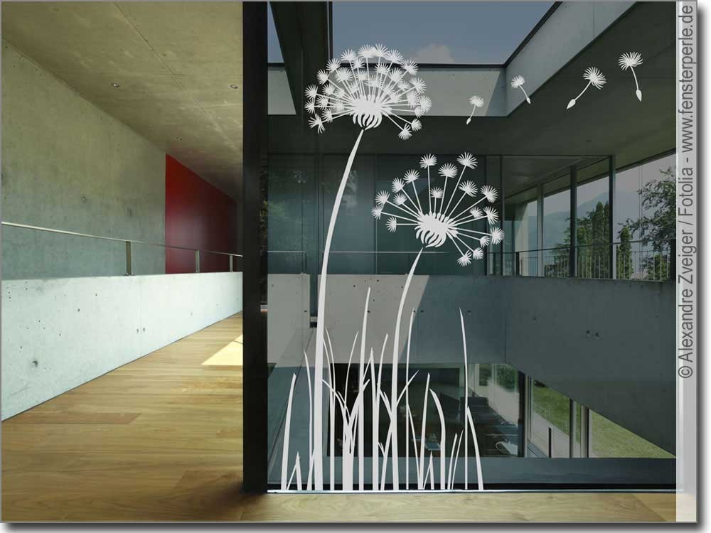 Glasdekorfolie Pusteblume | Fensterperle.de