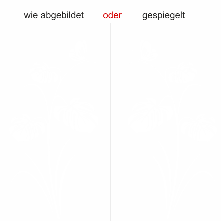 Glassticker Monstera - Ansicht Farbauswahl