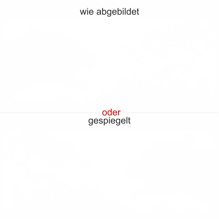Glasdesign Raubkatze - Ansicht Wunschfarbe