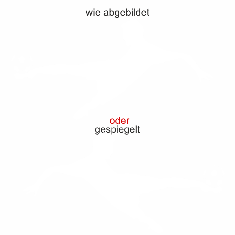 Glastattoo Fußballspieler - Ansicht Wunschfarbe