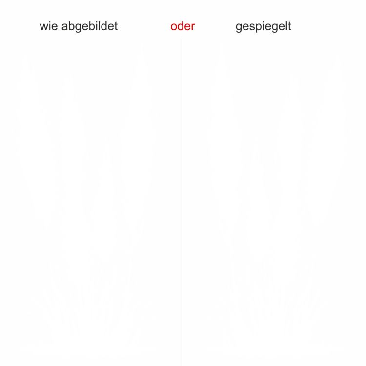 Glastattoo Pampasgras mit Zierwedel - Ansicht Ausrichtung mit Farbauswahl