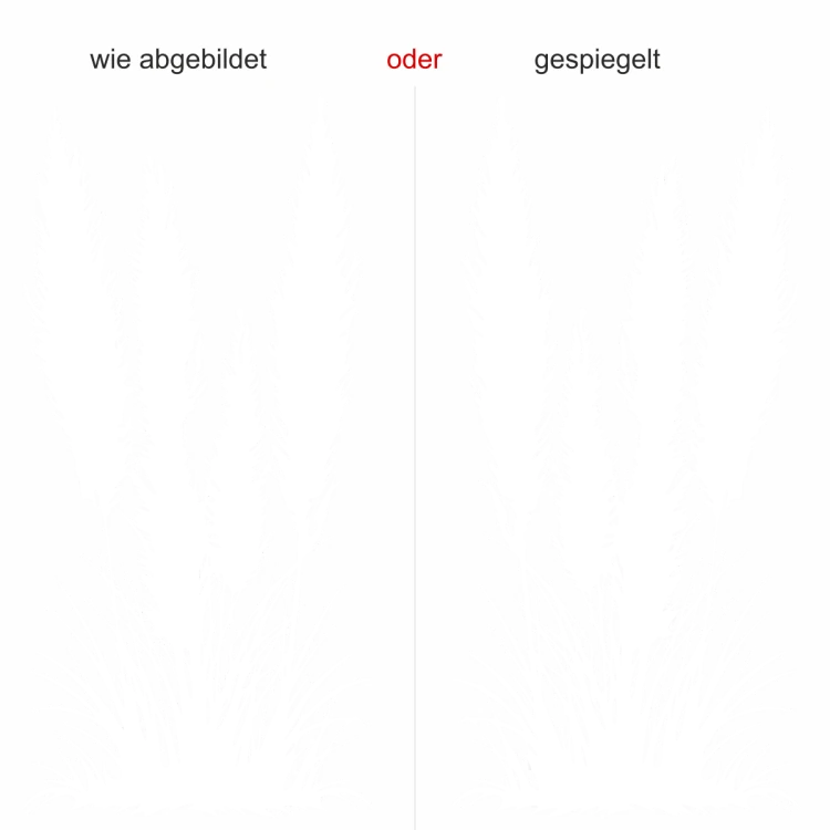 Glastattoo Pampasgras mit Zierwedel - Ansicht Ausrichtung mit Farbauswahl