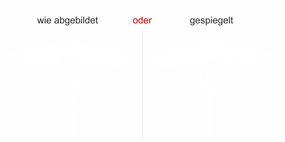 Dekofolie für Fenster Savannenbaum - Ansicht Ausrichtung und Farbauswahl Dekofolie für Fenster Savannenbaum - Ansicht Ausrichtung und Farbauswahl
