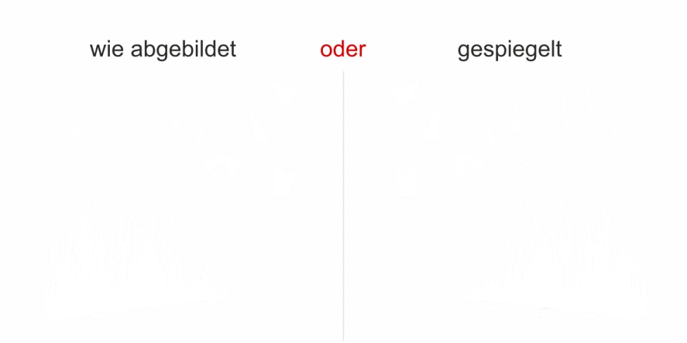 Glastattoo Schilfgräser und Störche - Ansicht Ausrichtung mit Farbauswahl
