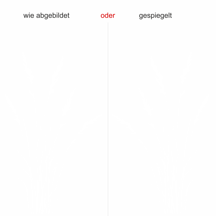 Glastattoo Schlankes Ziergrasmotiv - Ansicht Ausrichtung mit Farbauswahl
