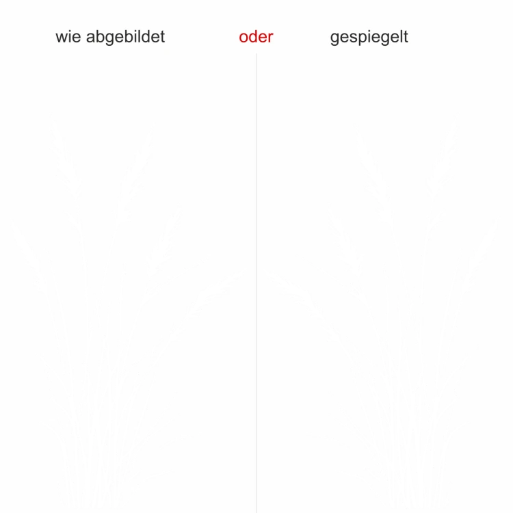 Glastattoo Schlankes Ziergrasmotiv - Ansicht Ausrichtung mit Farbauswahl