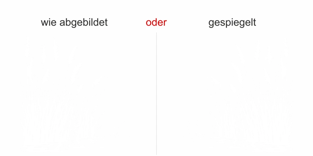 Glastattoo Ufergräser im Wind - Ansicht Ausrichtung mit Farbauswahl