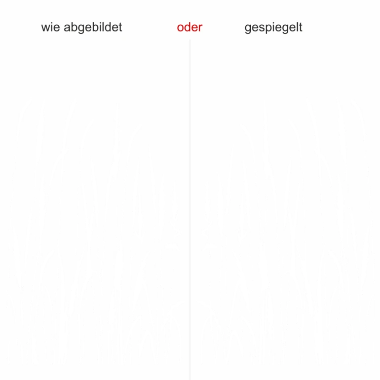 Glastattoo Wiesengras - Ansicht Ausrichtung mit Farbauswahl