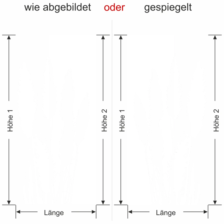 Glastür Sichtschutzfolie Pampasgräser - Ansicht Ausrichtung und Farbauswahl