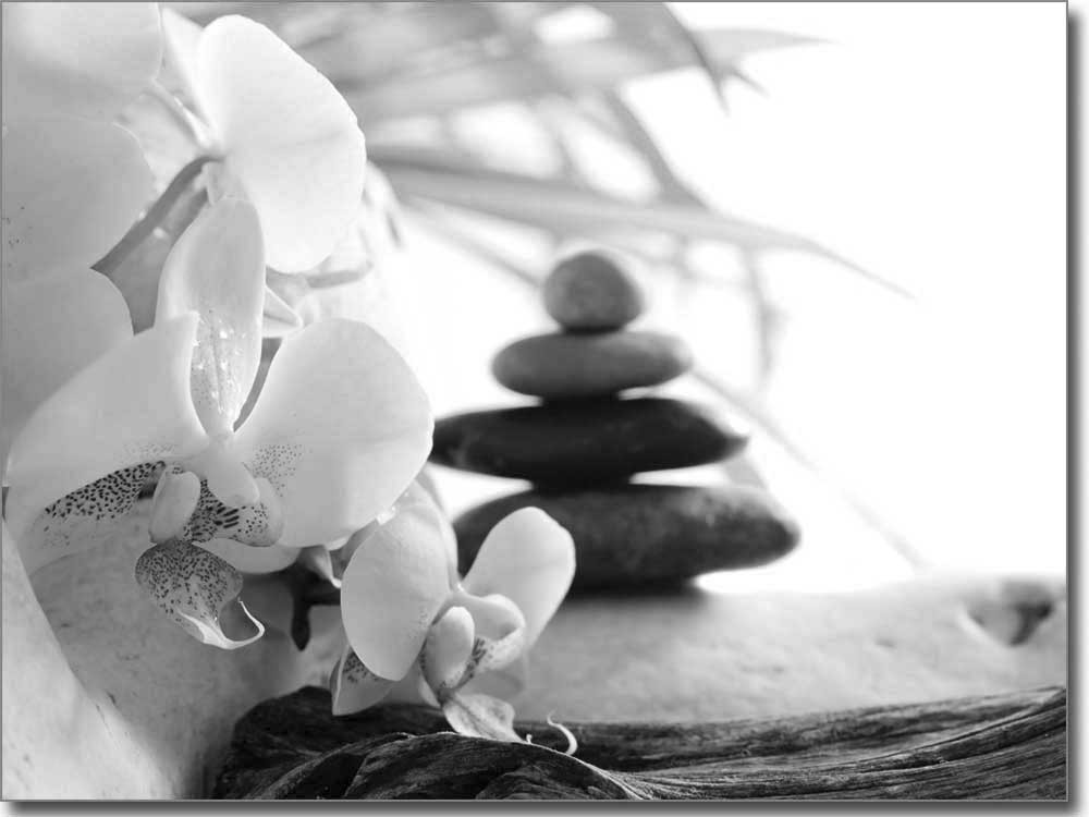 selbstklebendes Glasprint mit Wellnessmotiv in schwarzweiss selbstklebendes Glasprint mit Wellnessmotiv in schwarzweiss