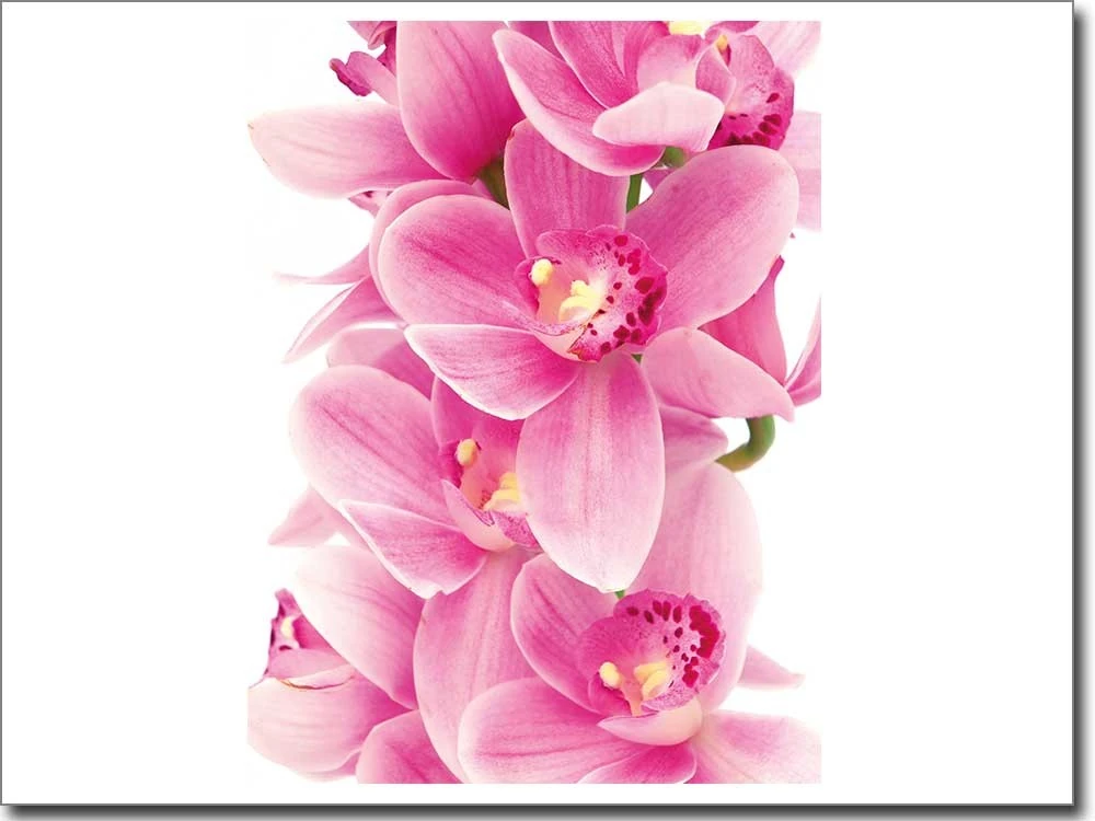 Digitaldruck auf Glas mit Orchidee