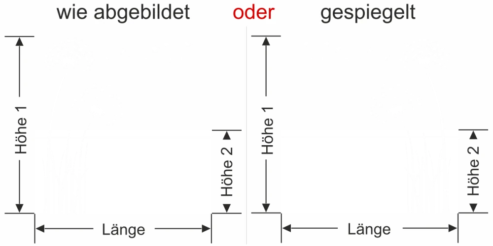Fensterfolie Pusteblume zum Aufkleben - Ansicht Ausrichtung und Farbauswahl