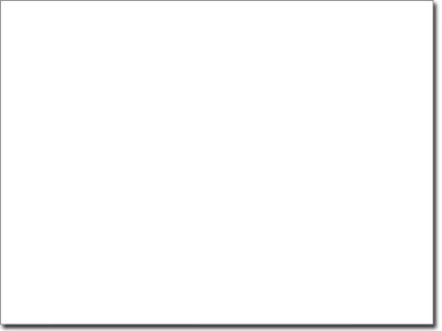 Fenster Dekoration Pampasgras - Ansicht Ausrichtung und Farbauswahl
