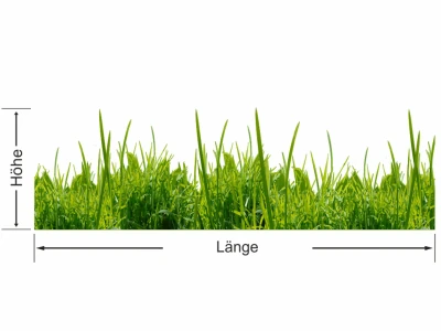 Fensterfolie Grasmotiv für Schaufenster - Ansicht Erklärung Wunschmaße