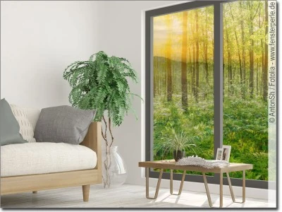 Fensterbild Sommerwald