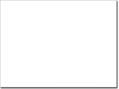 Fenstertattoo Baum mit Vögel