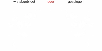 Glasfolie Orchidee - Ansicht Ausrichtung und Farbauswahl