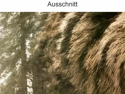 Fenstersticker Bären-Kontur mit Mystischem Wald - Ansicht Ausrichtung