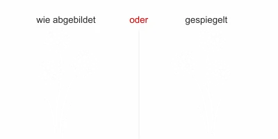 Sticker für Glas und Fenster mit Pusteblume - Ansicht Ausrichtung und Farbauswahl