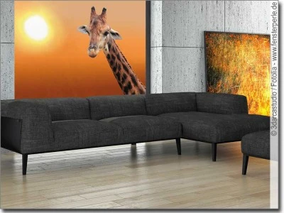 Blickdichter Foliendruck Giraffe - Fotofolie