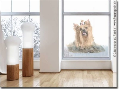 Transparente Fotofolie für Glas Yorkshire Terrier