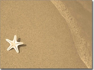 Fotofolie Seestern im Sand
