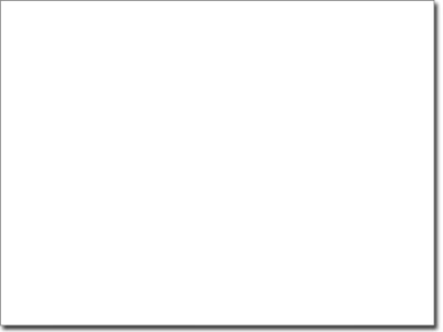 Fensterfolie Savannen Baum