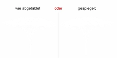 Dekofolie für Fenster Savannenbaum - Ansicht Ausrichtung und Farbauswahl