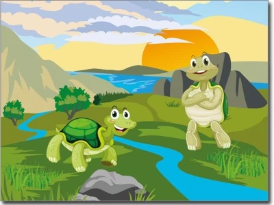 Zwei Schildkröten