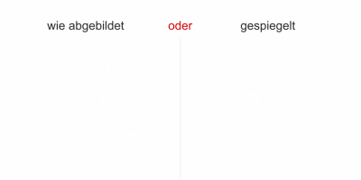 Scheibendekor Seestern